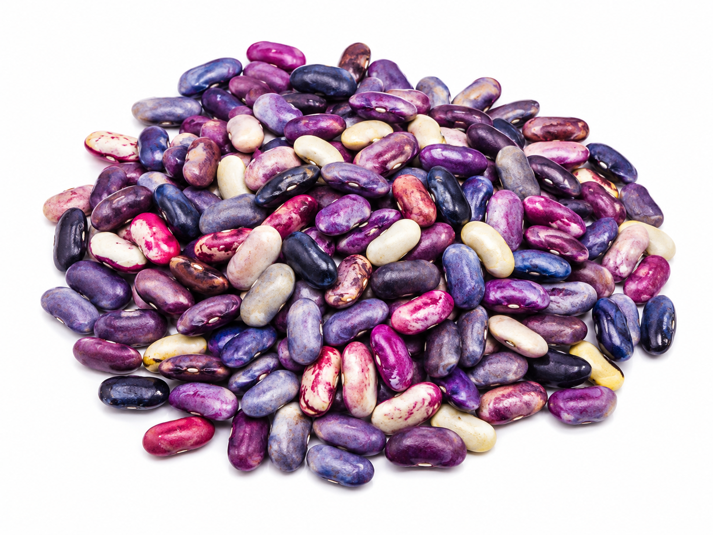 Kidney Bins (Rajma)